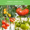thumbnail image 5 of 10 Varieties Tomato Seeds - Colorful Heirloom Tomatoes for Planting - Full Sun Annual Vegetable, 5 of 9