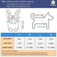 thumbnail image 2 of Pet Carrier Backpack, Adjustable Pet Front Cat Dog Carrier Backpack Travel Bag, Legs Out, Easy-Fit for Traveling Hiking Camping for Small Medium, 2 of 5