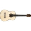 Cordoba F10 Acoustic Nylon String Flamenco Guitar