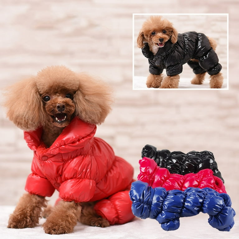 Frogued Winter Fashion Warm Four-Legged Solid Color Soft Dog Puppy