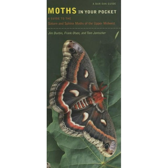 Bur Oak Guide: Moths in Your Pocket : A Guide to the Saturn and Sphinx Moths of the Upper Midwest (Sheet map, folded)