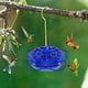 thumbnail image 5 of Comedero para Colibríes con Forma de Flor Roja Colgante con Forma de Gancho, 5 of 5
