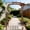brown-Arched Top, variant on Gaderth 85in Wooden Garden Arbor Trellis, Outdoor Walkway Arbor Stand, Carbonized Finish Sturdy Fir Wood Pergola for Climbing Plants, Versatile Arch & Flat Top Design for Weddings & Patio Decor