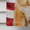 thumbnail image 4 of Carolines Treasures BB9721CHF Tibetan Mastiff Patriotic Flag Canvas House Size  Large multicolor, 4 of 4