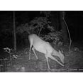 thumbnail image 5 of Wildgame Innovations SC20i20-7 Silent Crush Cam 20 Trail Camera, Bark, 5 of 5