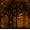 Orange Forest Silhouette, variant on Elephant Stock Dark Haunted Forest Wall Art - Horizontal Canvas Wall Art - Living Room Wall Decor - Fantasy And Sci-fi Canvas - Black And Red Decor - 12" x 8"