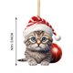 thumbnail image 3 of Adorno Navideño De Acrílico 2D Con Gato Divertido Adorno De Acrílico Con Gato Adorno Navideño De Acrílico Con Doble Impresión Colgante Navideño Divertido Regalo De Navidad Colgante Divertido 1 Unidad, 3 of 5