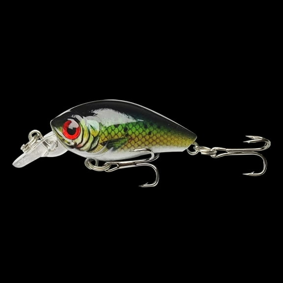 2PC Fishing Lures Jigs 10 Colors Rock Bionic Lure 4.8cm/3.4g Simulation Fake Bait for Topmouth Culter Bass Hard Bait Lifelike Swimming Action