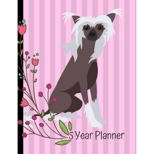 5 Year Planner 2020 2024 Monthly Planner Organizer Undated Calendar