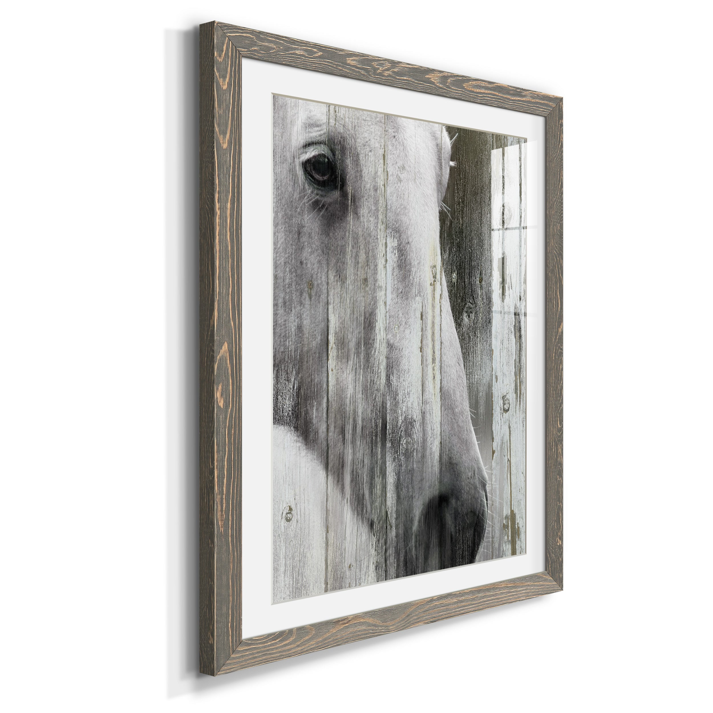Contemplation - Premium Framed Print - Distressed Barnwood Frame - Ready to Hang