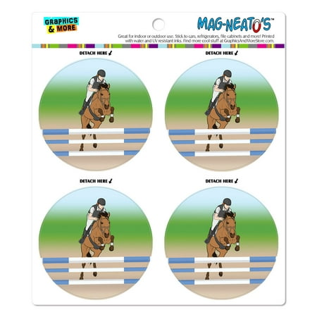Horse Show Jumping MAG-NEATO'S(TM) Car/Refrigerator Magnet (Best Show Jumping Horse Breeds)