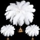 thumbnail image 1 of XunYee 60 Plumas Grandes de Avestruz Blancas 45-50 cm, 1 of 6