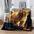 thumbnail image 1 of Couverture Ragdoll Chat Persan Calico Chat Garfield Couverture Douce pour Maison Chambre Lit Canapé Couverture Enfants, 1 of 7