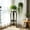 Black, variant on 2-Tier Metal Plants Stand for Indoor Outdoor Use, Wrought Iron Flower Pot Holder Rack for Balcony Patio Garden, Space Saving Display Shelf for Living Room Bedroom Home Decor, 19.7x9.5 Inch