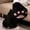 Black, variant on Womens Boots Cat Role Play Mid Calf Anime Convention Shoes For Women Plush Soft Sole Non Slip Costume Party Footwear US :9