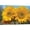 Sunflower Artwork-06, variant on Sunflower Canvas Wall Decor, Sunflowers Watercolor Flower Prints Pictures for Kitchen Decor, Abstract Sunflower Painting, Artwork for Bathroom Wall Decor (12x18 Inches)