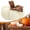 White, variant on Fall Pumpkins 1Pc Faux Crochet Pumpkin Small Knit Autumn Harvest Decor for Thanksgiving Halloween Farmhouse Mantel Table(Grey)