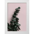 thumbnail image 1 of Artographie Studio 17x24 White Modern Wood Framed Museum Art Print Titled - Eucalyptus Pink No02, 1 of 4