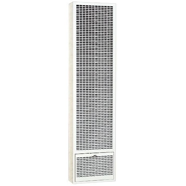 Cozy 25,000 BTU Natural Gas Gravity Wall Furnace W255G