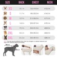 thumbnail image 2 of Chubasquero para perros Lukovee, impermeable, ajustable para perros pequeños y medianos, 2 of 9