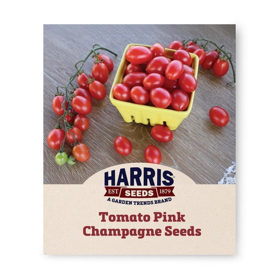 Harris Seeds Pink Champagne Organic Tomato, Dark Pink Grape Type, Indeterminate for Garden or Greenhouse, 50 Count
