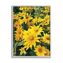 Stupell Industries Sunflower Field Blooming Green Bulbs Yellow Petals, 24 x 30, Designed by Sarah Jane
