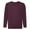 Burgundy, variant on Fruit Of The Loom Childrens Big Boys Set in Sleeve Sweatshirt (Pack of 2)