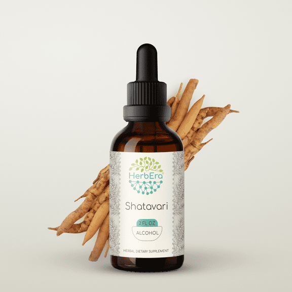 Shatavari Alcohol Herbal Extract Tincture, Super-Concentrated Organic Shatavari (Asparagus Racemosus) Dried Root 2 oz