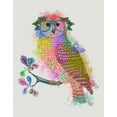 thumbnail image 2 of Fab Funky 12x14 White Modern Wood Framed Museum Art Print Titled - Rainbow Splash Owl, 2 of 4