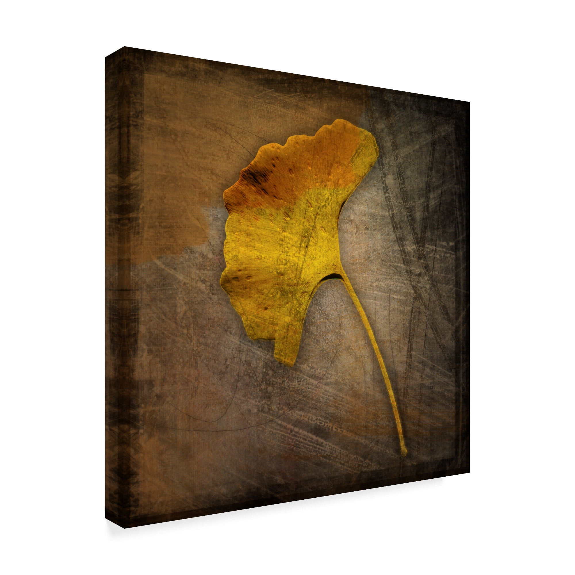 Trademark Fine Art 'Gingko Brown' Canvas Art by John W. Golden