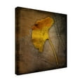 thumbnail image 2 of Trademark Fine Art 'Gingko Brown' Canvas Art by John W. Golden, 2 of 3
