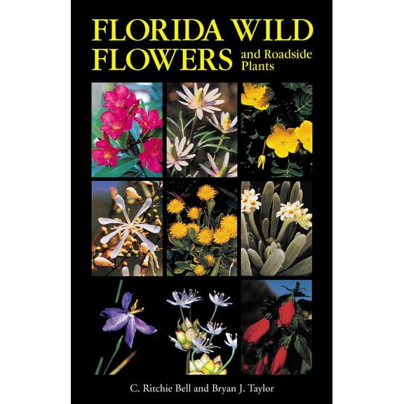 Florida Wild Flowers and Roadside Plants, (Paperback)