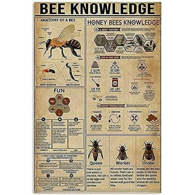 Retro Vintage Metal Tin Sign Bee Knowledge Anatomy of A Bee Honey Sign Poster for Home Garden Kitchen Bar Cafe Restaurant Garage Wall Decor 16x12 Inch