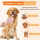 thumbnail image 5 of Pet Comb Stainless Steel Needle Massage Cleaning Needle Comb Hair Removal Brush Portable One Click Self Cleaning Comb Grooming Tools, 5 of 6