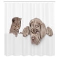 thumbnail image 2 of Ambesonne Kitty Shower Curtain, Cat and Dog on Plain Back, 69"Wx70"L, Sepia and Pale Chocolate, 2 of 4