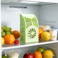 thumbnail image 1 of YoGold Refrigerator Deodorizing Box – 100g Lemon-Shaped Activated Carbon Odor Eliminator, Kitchen Deodorizer (Green), 1 of 6