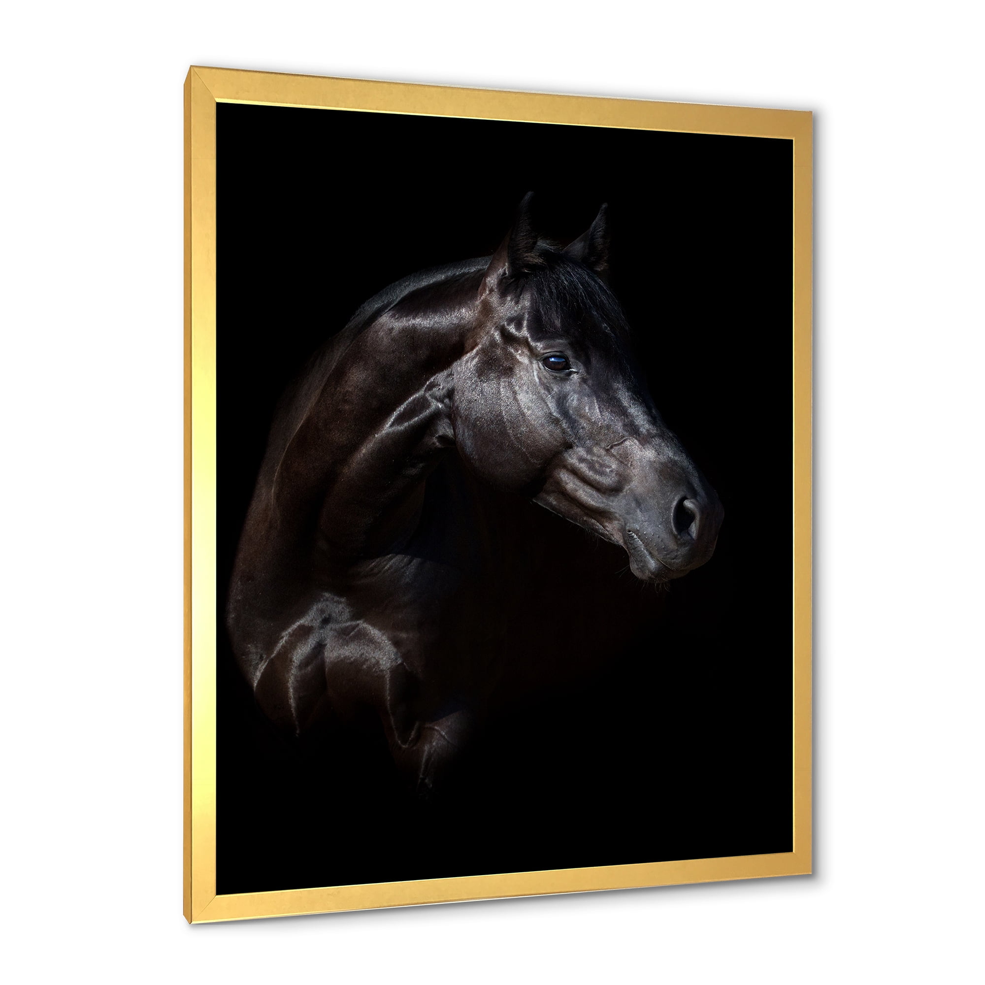 Designart 'Silhouette Of Horse and Woman' Farmhouse Framed Art Print