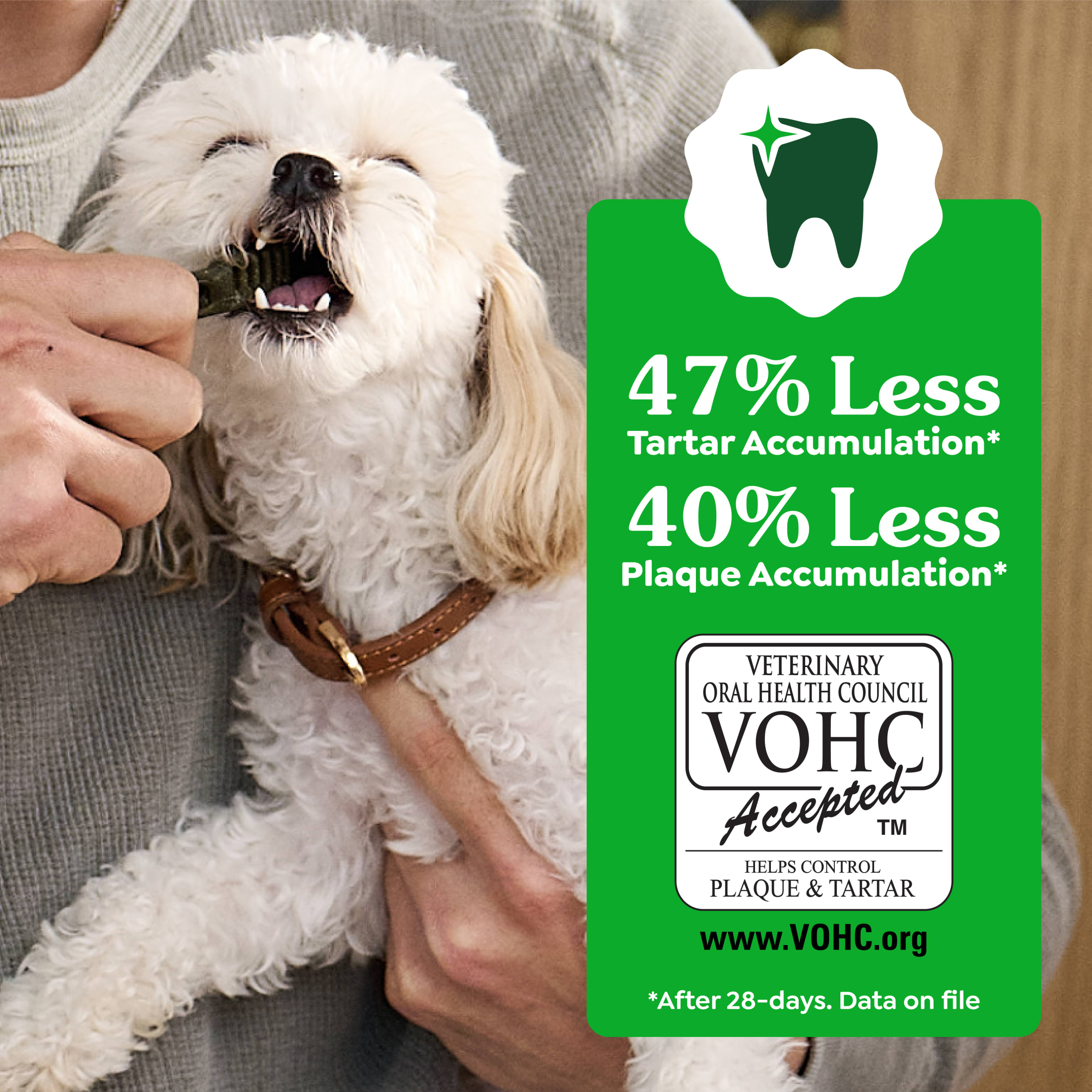Greenies Original Teenie Dental Dog Treats, 22 Count photo 5
