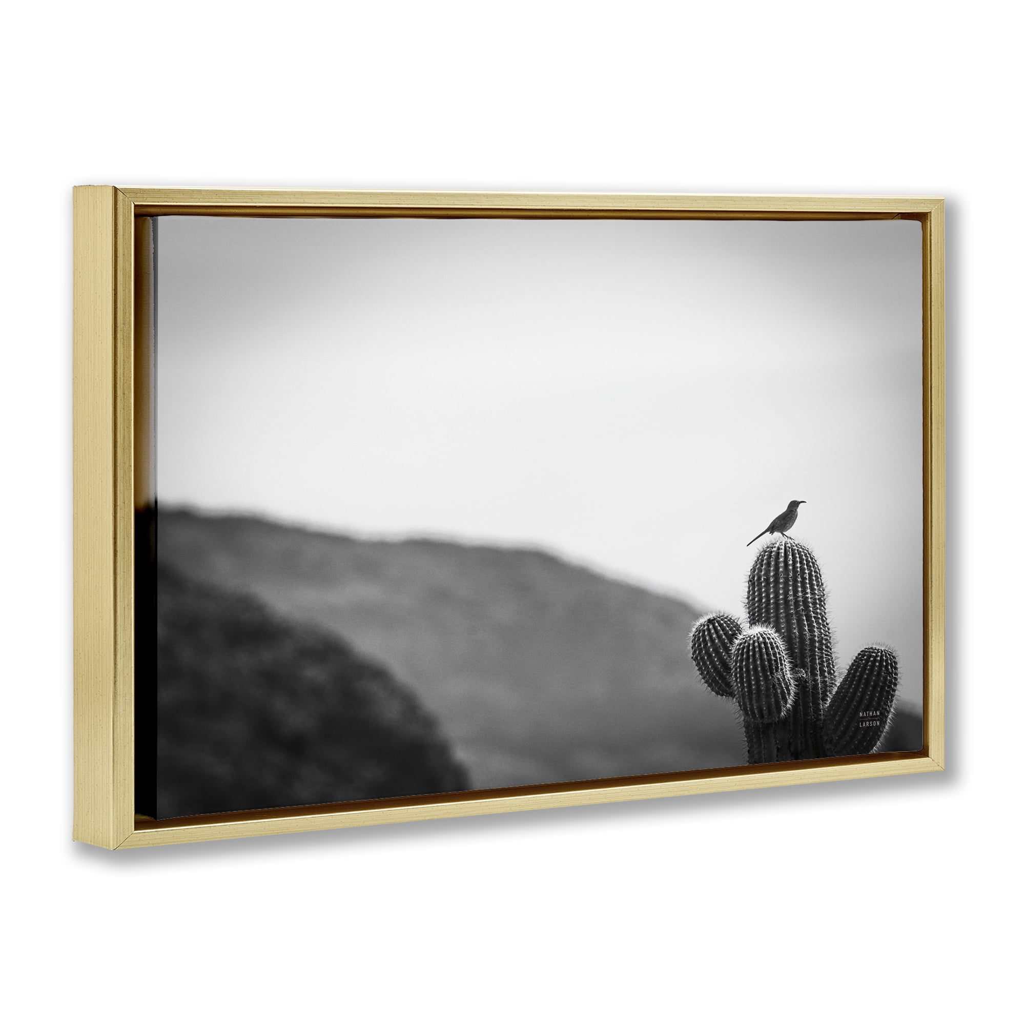 Stupell Industries On Guard Bird & Cactus Landscape & Nature Photography Gold Floater Framed Canvas Art Print Wall Art, 25 x 17