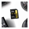 thumbnail image 4 of Tarjeta de memoria Lexar Professional 256GB 2000x UHS-II SDXC (paquete de 2), 4 of 8