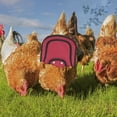thumbnail image 7 of Luxtrada Premium Chicken Saddles with Stretchy Strap, Hen Saddle Sweater Clothes, Birds Protector for Back and Sides, Suitable for 5-7.6lbs (Purple), 7 of 7