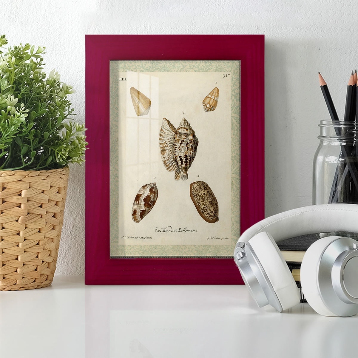 Bookplate Shells II - Framed Print w/glass - Cherry Red