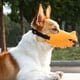 thumbnail image 5 of Bozal de silicona ajustable para perros con control de mordidas y ladridos, transpirable, amarillo, L (16-18 cm), 5 of 8