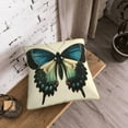 thumbnail image 5 of KLL Blue Black Butterfly Art Decorative Throw Pillow Covers Velvet Soft for Couch Sofa Bedroom Living Room Outdoor (No pillow core)- 20"x20", 5 of 5