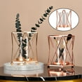 thumbnail image 3 of La estatua moderna del florero el pote hidropónico para la decoración Oro rosa S Zulema Florero hidropónico, 3 of 8