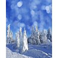 thumbnail image 2 of ABPHOTO 5x7ft Photography Backdrop Snow Covered Landscape Rural Forest Bokeh Halos Glitter Sequins Merry Christmas Backdrops Seamless Children Adults Happy New Year, 2 of 3