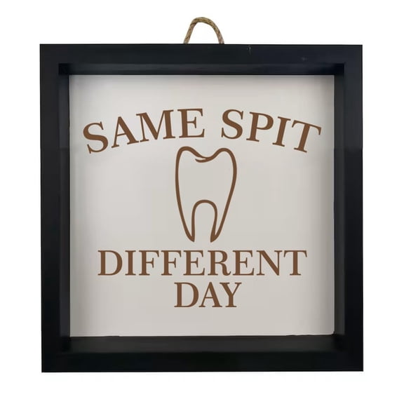 Framed Wood Sign Wall Art Home Desk Decor Gift Same Spit Different Day Funny Dentist Dental Assistant Hygienist (Black Frame)