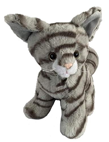 cats and stuffed animals