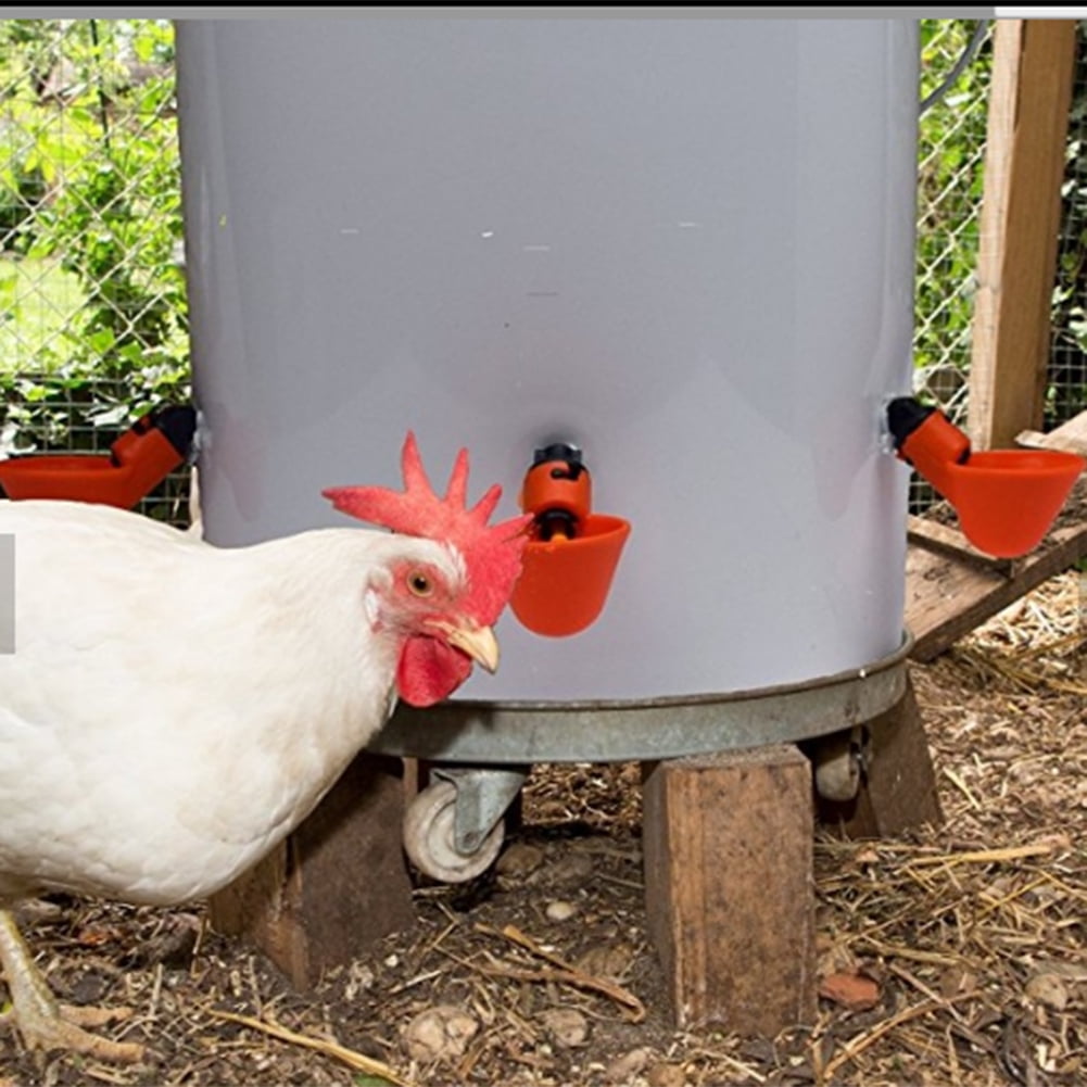 4 Pcs Automatic Cups Chicken Waterer Poultry Bird Auto Feed Water PVC New 