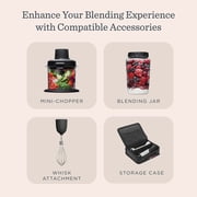 Vitamix 5spd Immersion Blender